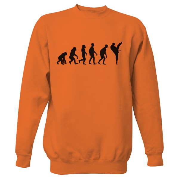 Mikina bez kapuce Unisex s potiskem Evoluce karatista